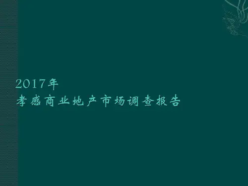 湖北孝感市城市商业地产市场调查报告