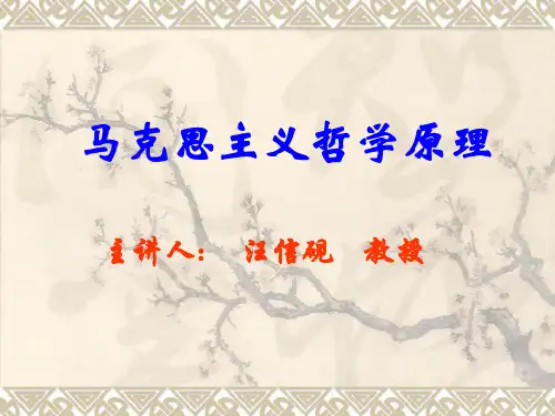 马克思主义哲学原理-PPT课件