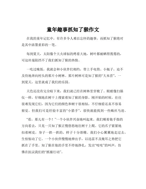 童年趣事抓知了猴作文