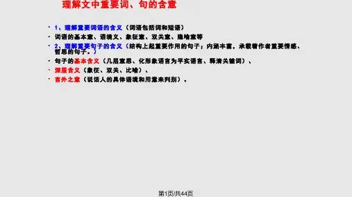 理解文中重要词句的含义PPT课件