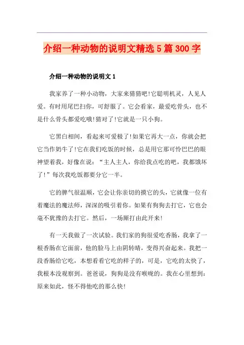介绍一种动物的说明文精选5篇300字