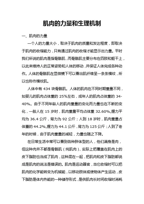 肌肉的力量和生理机制