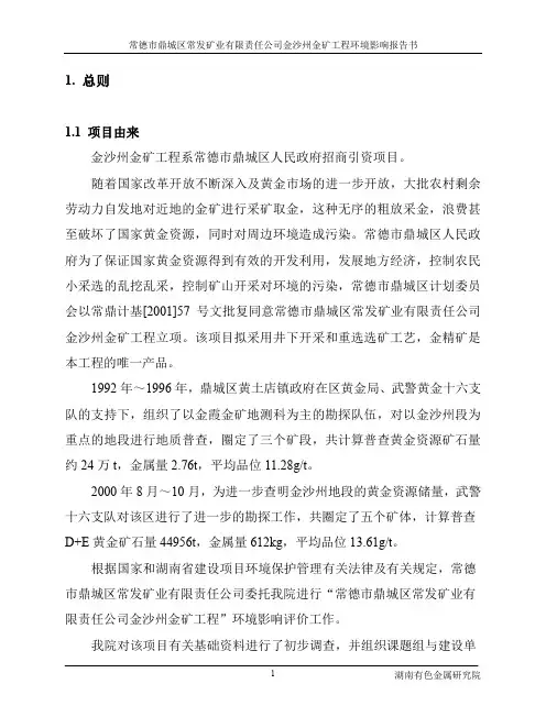 金矿报告书.doc