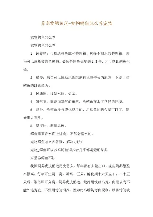 养宠物鳄鱼玩-宠物鳄鱼怎么养宠物