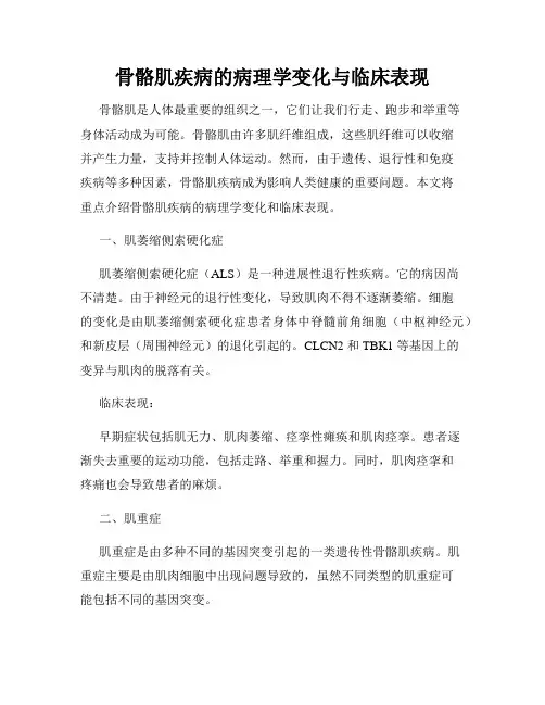 骨骼肌疾病的病理学变化与临床表现