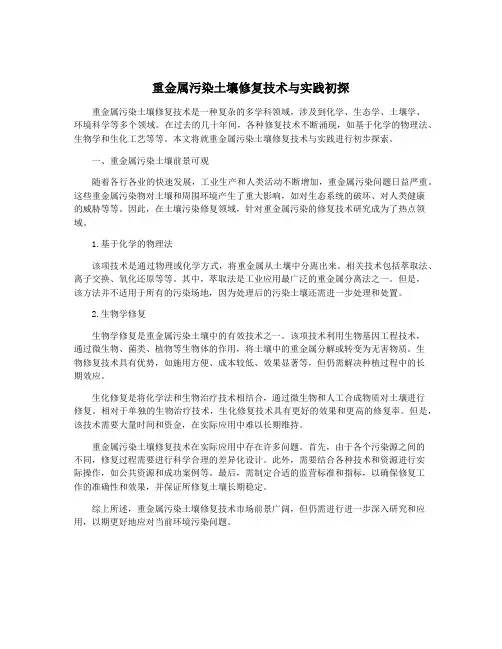 重金属污染土壤修复技术与实践初探