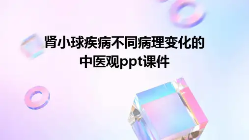 肾小球疾病不同病理变化的中医观PPT课件