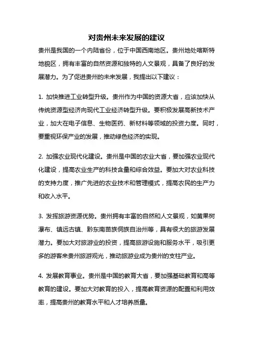 对贵州未来发展的建议