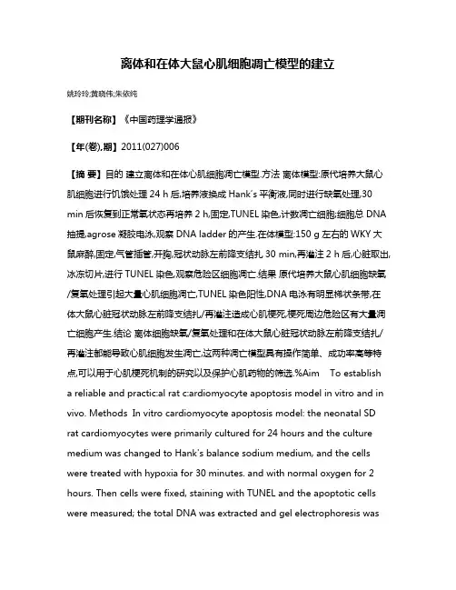 离体和在体大鼠心肌细胞凋亡模型的建立