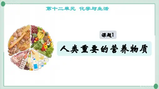 12.1人类重要的营养物质PPT九年级化学人教版下册精品课件