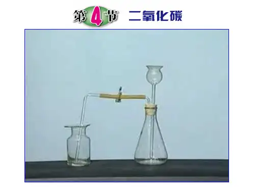 浙教版科学二氧化碳二氧化碳的制取和性质研究教学PPT(精选)课件