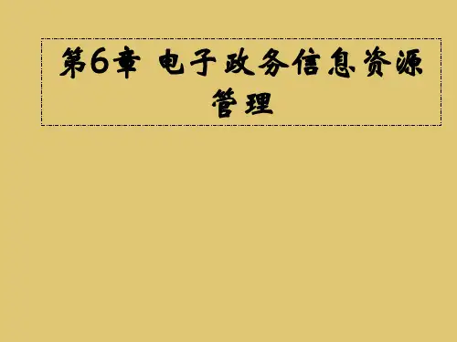 第六章 电子政务信息资源管理 《电子政务》 PPT课件