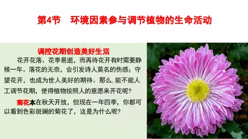 5.4 环境因素参与调节植物的生命活动人教版(2019)高中生物选择性必修一(课件共51张PPT)