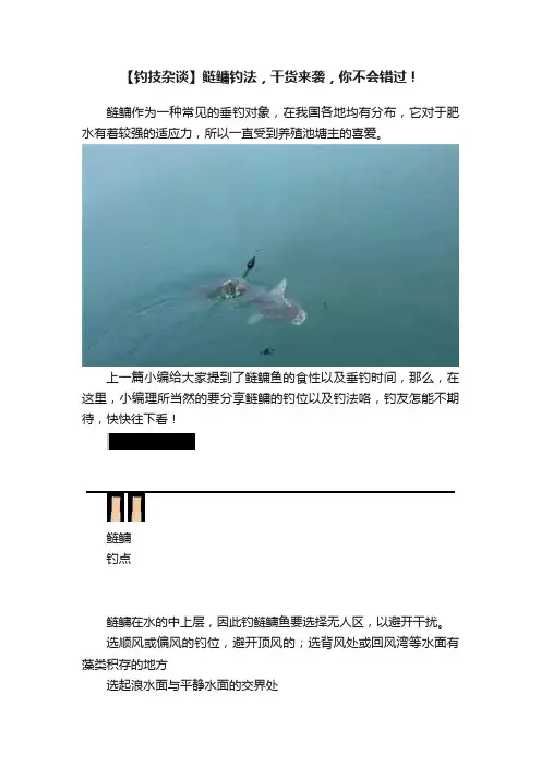 【钓技杂谈】鲢鳙钓法，干货来袭，你不会错过！