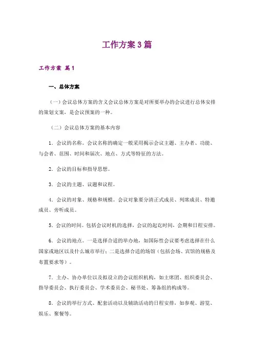 工作方案3篇_10