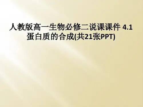 人教版高一生物必修二说课课件 41 蛋白质的合成共21张PPT