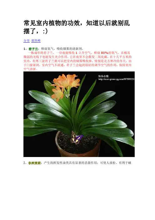 常见室内植物的功效,知道以后就别乱摆了