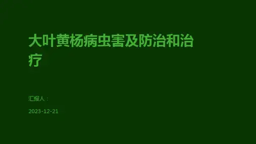 大叶黄杨病虫害及防治和治疗