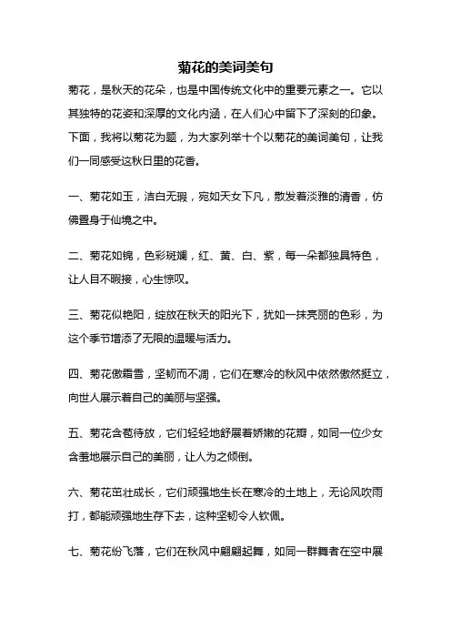菊花的美词美句
