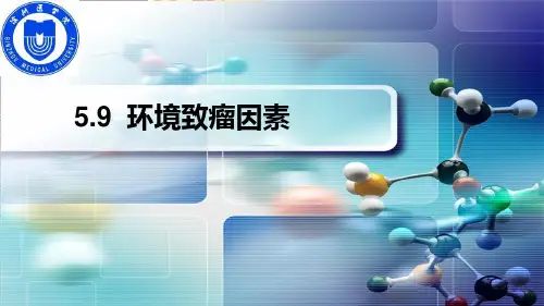 5.9 环境致瘤因素