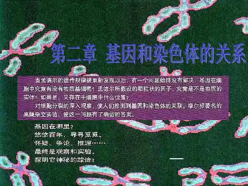 第一节(一)减数分裂PPT课件