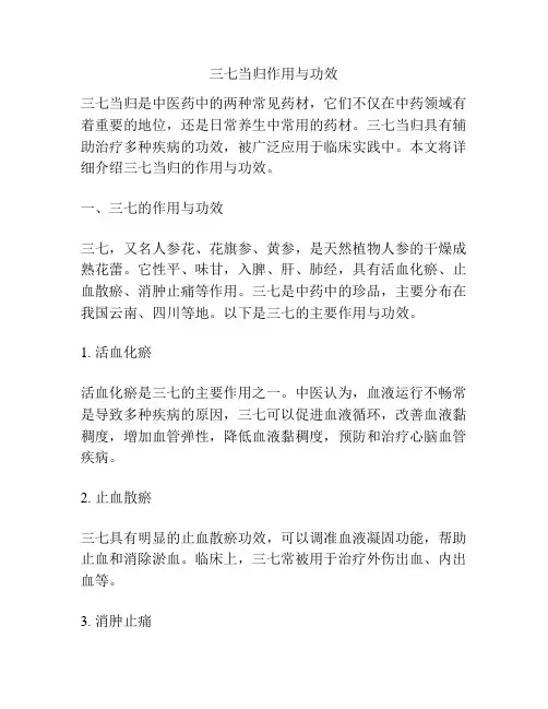 三七当归作用与功效