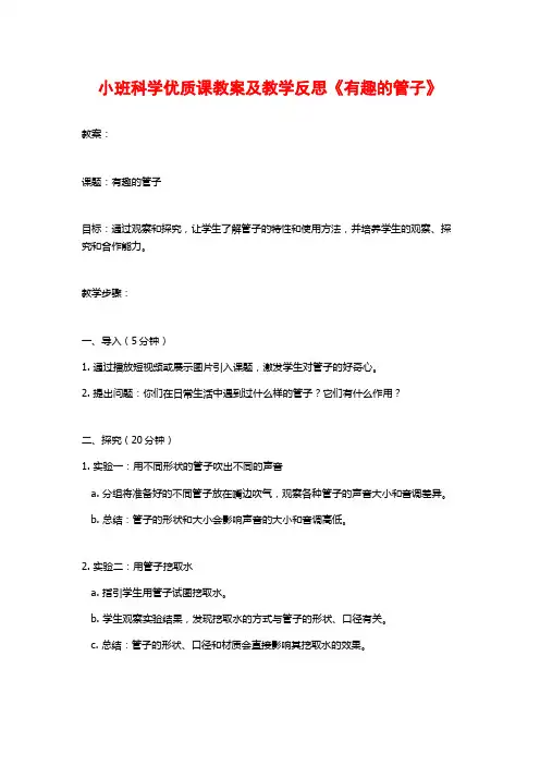 小班科学优质课教案及教学反思《有趣的管子》