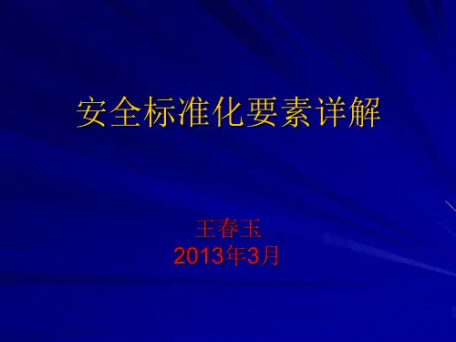安全标准化要素详解