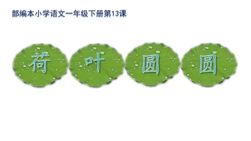 部编版)一年级下册第 13课《荷叶圆圆》课件
