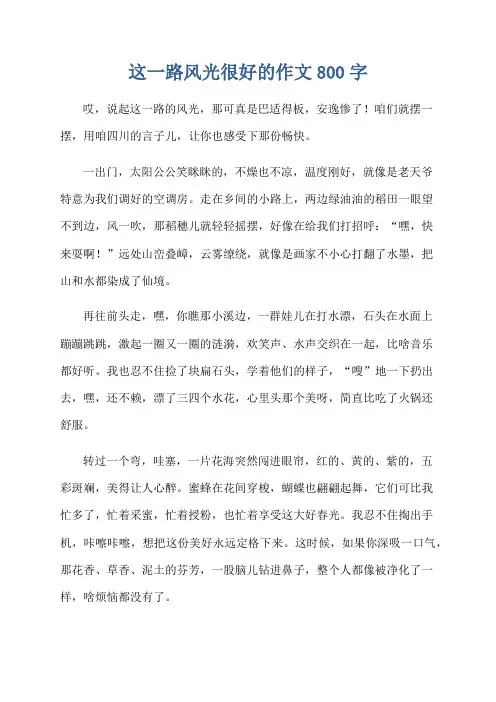 这一路风光很好的作文800字