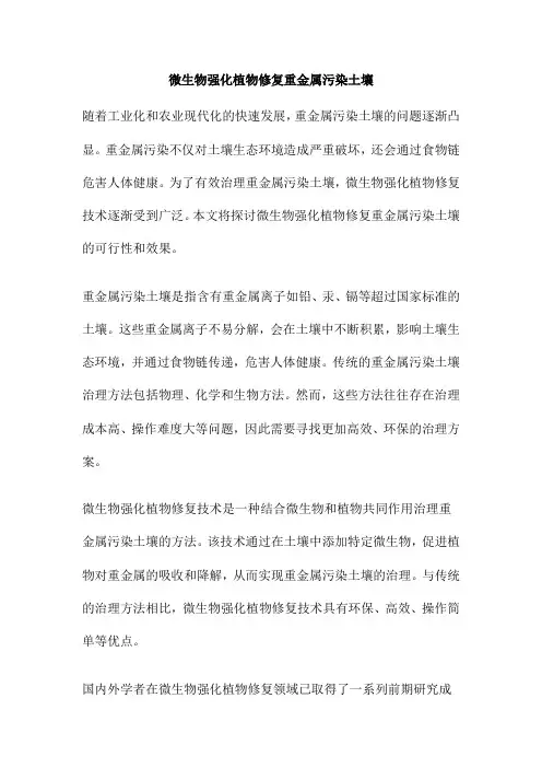 微生物强化植物修复重金属污染土壤