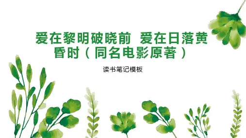 爱在黎明破晓前 爱在日落黄昏时(同名电影原著)