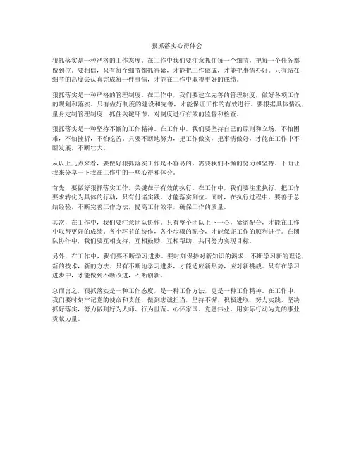 狠抓落实心得体会