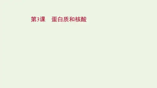 高考生物一轮复习第一单元走近细胞及组成细胞的分子第3课蛋白质和核酸课件苏教版