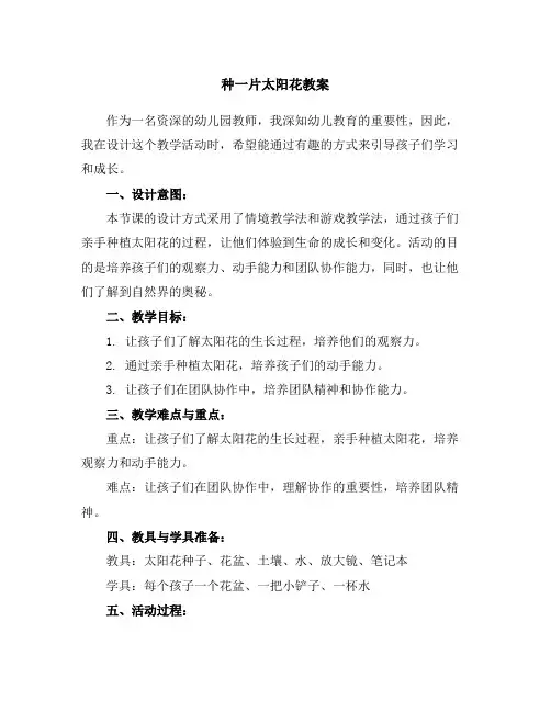 种一片太阳花教案