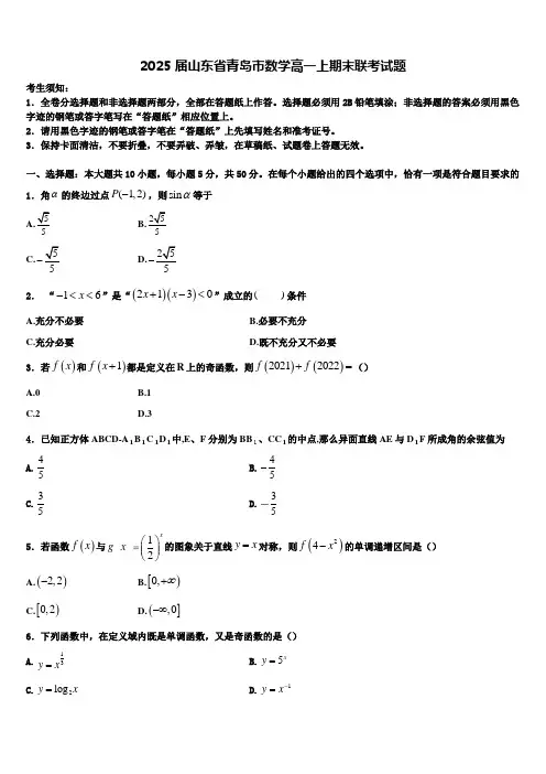 2025届山东省青岛市数学高一上期末联考试题含解析