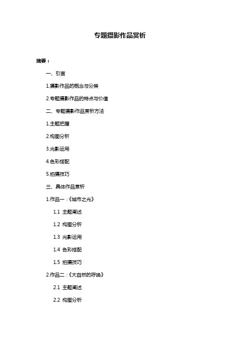 专题摄影作品赏析