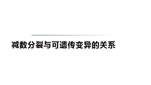 新教材新高考生物复习专题-减数分裂与可遗传变异的关系