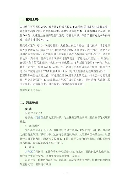 大花蕙兰家庭养殖总结