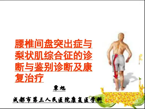腰椎间盘突出症与梨状肌综合征的诊断与鉴别诊断和康复治疗