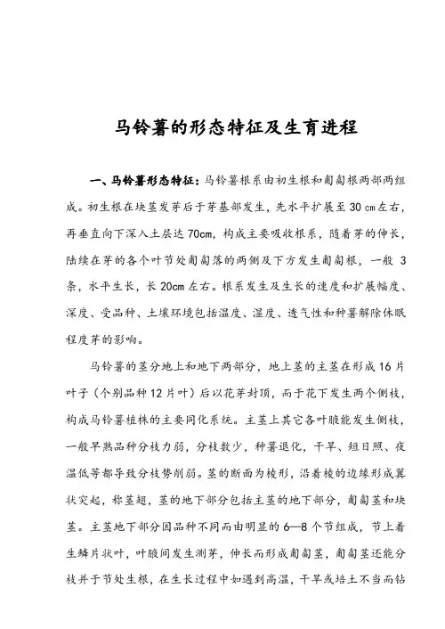 马铃薯的形态特征及生育进程