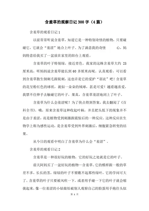 含羞草的观察日记300字(4篇)