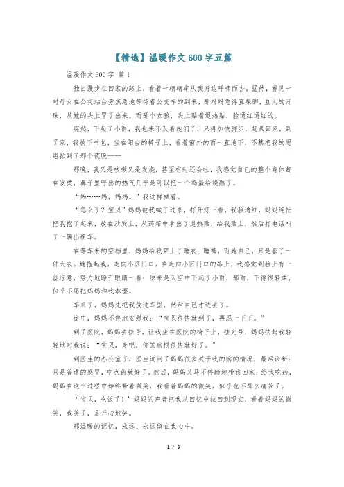 【精选】温暖作文600字五篇