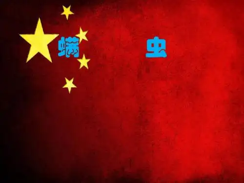 螨虫的形态结构及防治ppt课件