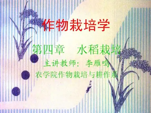 水稻作物栽培学课件