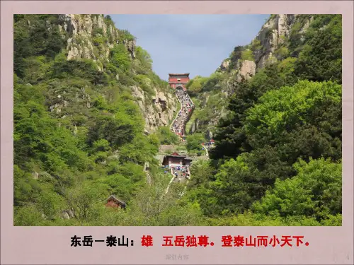 《雨中登泰山》[优质课类]