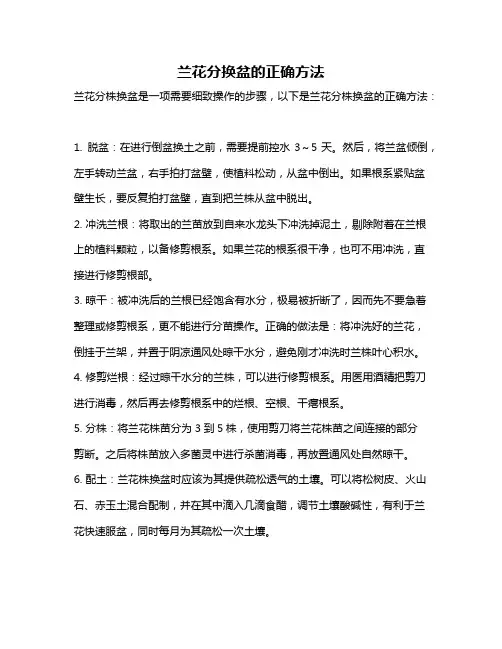 兰花分换盆的正确方法
