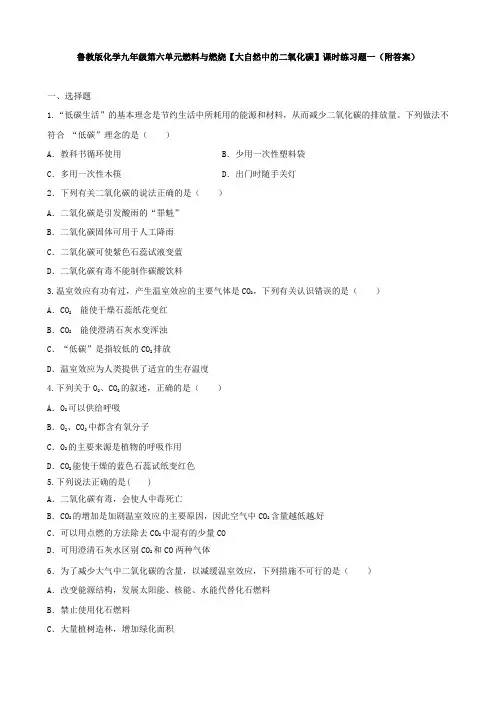 鲁教版化学九年级第六单元燃料与燃烧【大自然中的二氧化碳】课时练习题一(附答案)