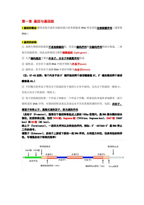 基因与基因组知识点资料整理总结