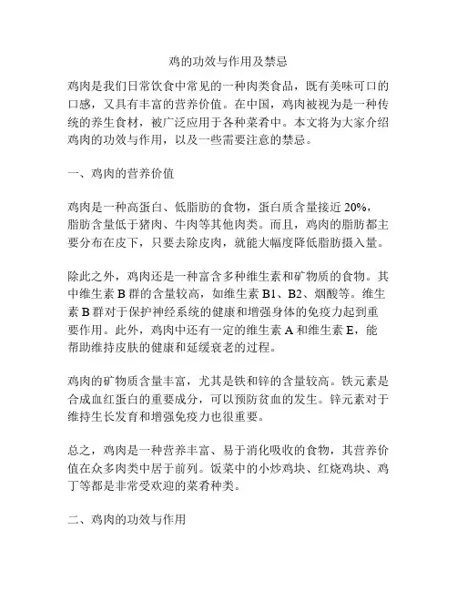 鸡的功效与作用及禁忌